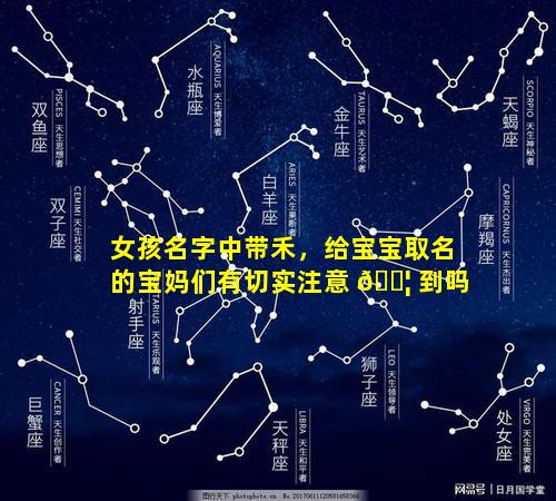 女孩名字中带禾，给宝宝取名的宝妈们有切实注意 🐦 到吗